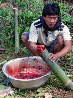 bambustorude täitmine lihaga