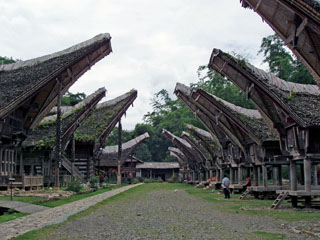 Tongkonan, Lõuna-Sulawesi traditsiooniline esivanemate maja