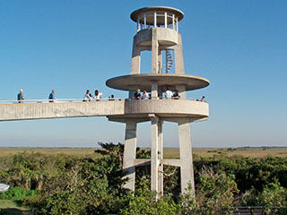 Shark Valley Tower