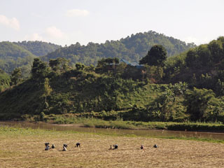 Mae Kok river
