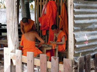 Wat Xieng Mouane, mungad meisterdamishoos
